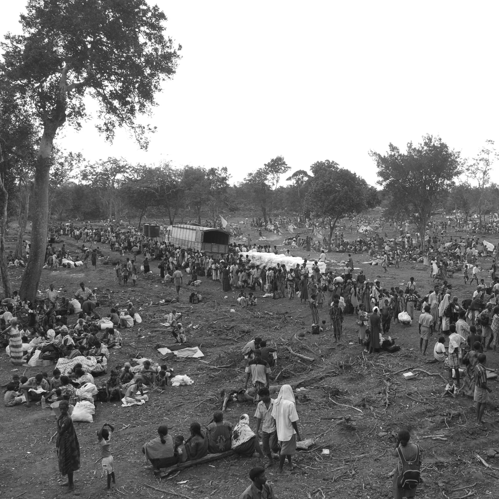 Echoes of resilience and hope